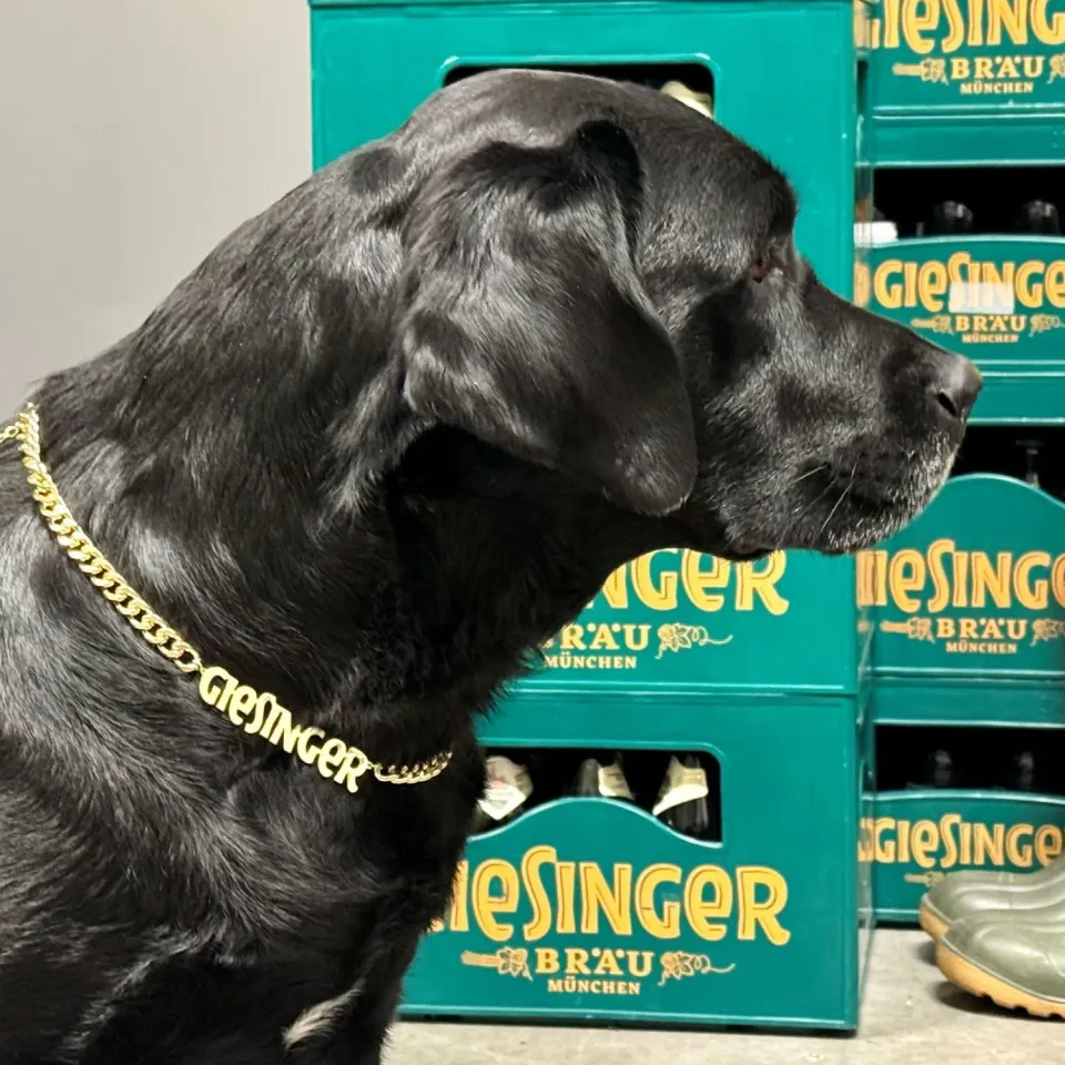 Giesinger Bräu Goldkette Bierkette Schmuck
