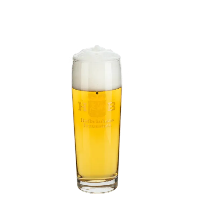 Hofbräuhaus Traunstein Bierglas Relief 0,50 L Willibecher Logo
