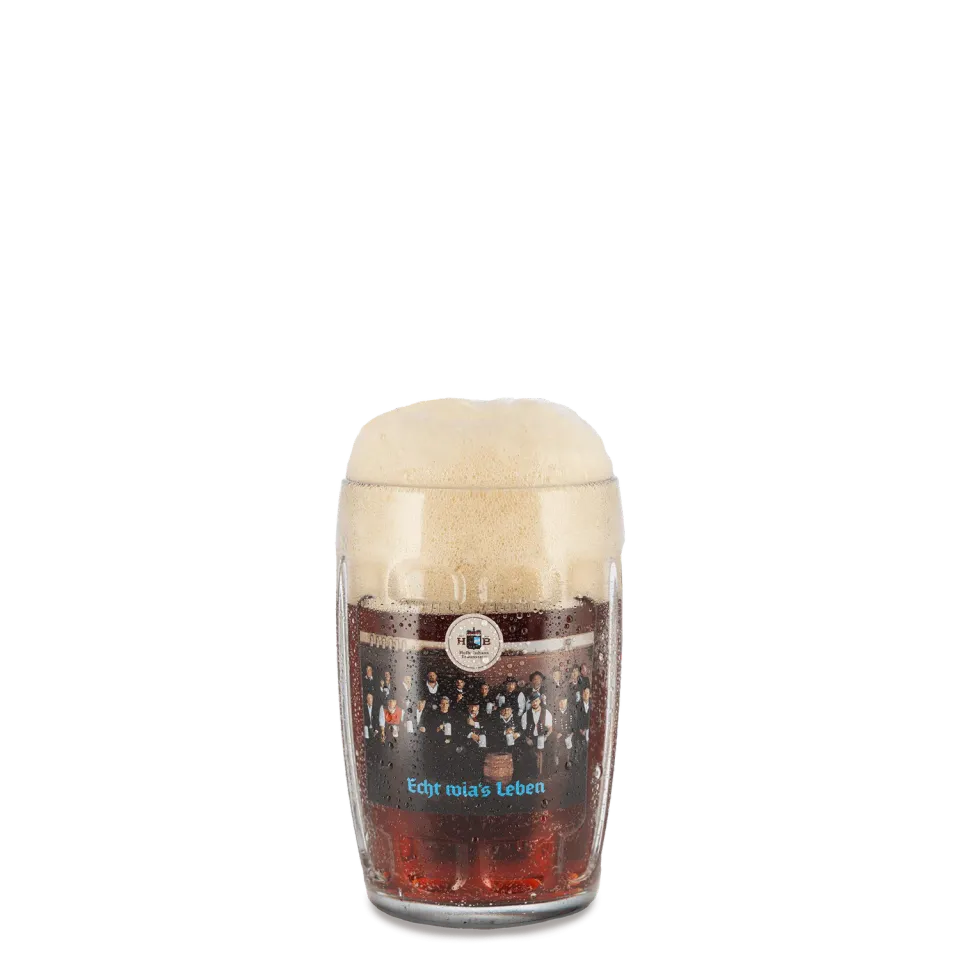 Hofbräuhaus Traunstein Glaskrug Dunkel 0,50 l